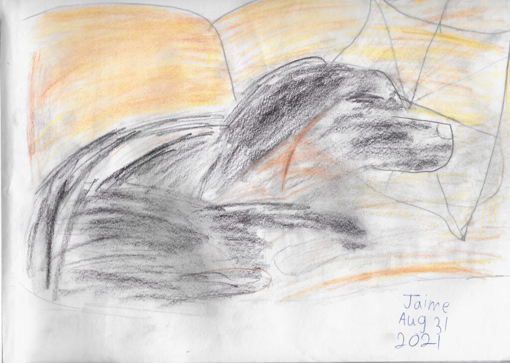 Jaime's awesome sketch of Juno The Adorable (Aug. 2021)